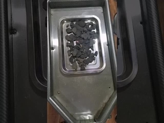 Polygonum multiflorum in polvere